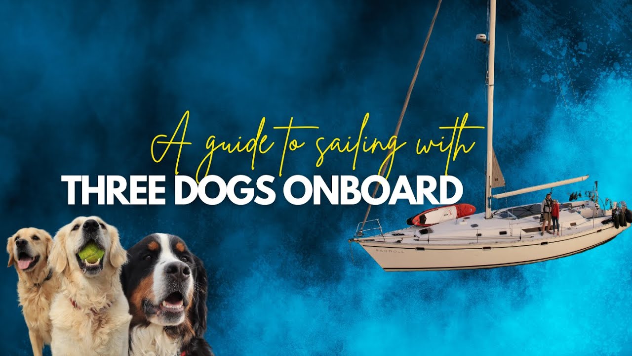 Navigarea cu câini simplificată!  Ce?  Unde?  Cum?  & De ce?  |  Inclusiv întrebări și răspunsuri | [Ep. 35]