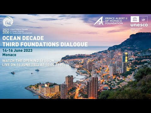 Deceniu oceanic: al treilea dialog despre fundații - PANEL LA NIVEL ÎNALT (14.06.2023)