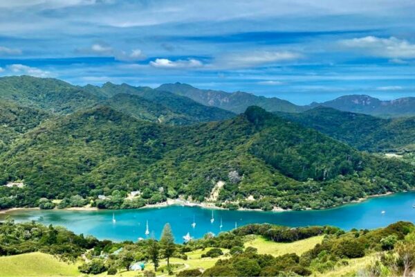 Navigarea către/dinspre Insula Great Barrier, NZ poate să-și facă taxă