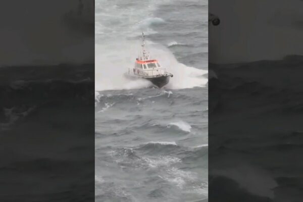 Imbarcare pilot Ship At Sea #navă #navă #mare #short #viral #tendințe