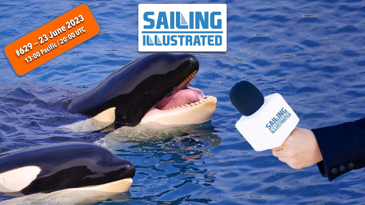 SI #629 – Titlu: „Orcas atacă The Ocean Race” – Serios?  Corect sau crouton??