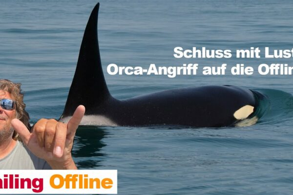 #59 Navigare offline: Frica navighează cu noi, orcile sunt aici... 😰🐋