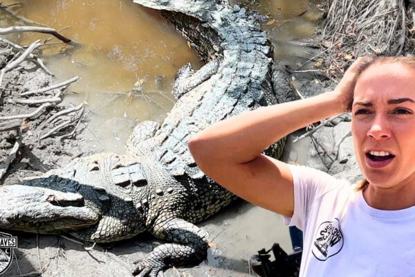 🙀O întâlnire cu crocodili în ultima noastră zi de navigație