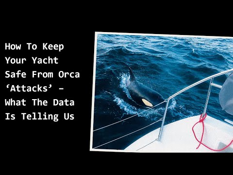 Cum să vă păstrați iahtul în siguranță de „atacurile” Orca - Ce ne spun datele