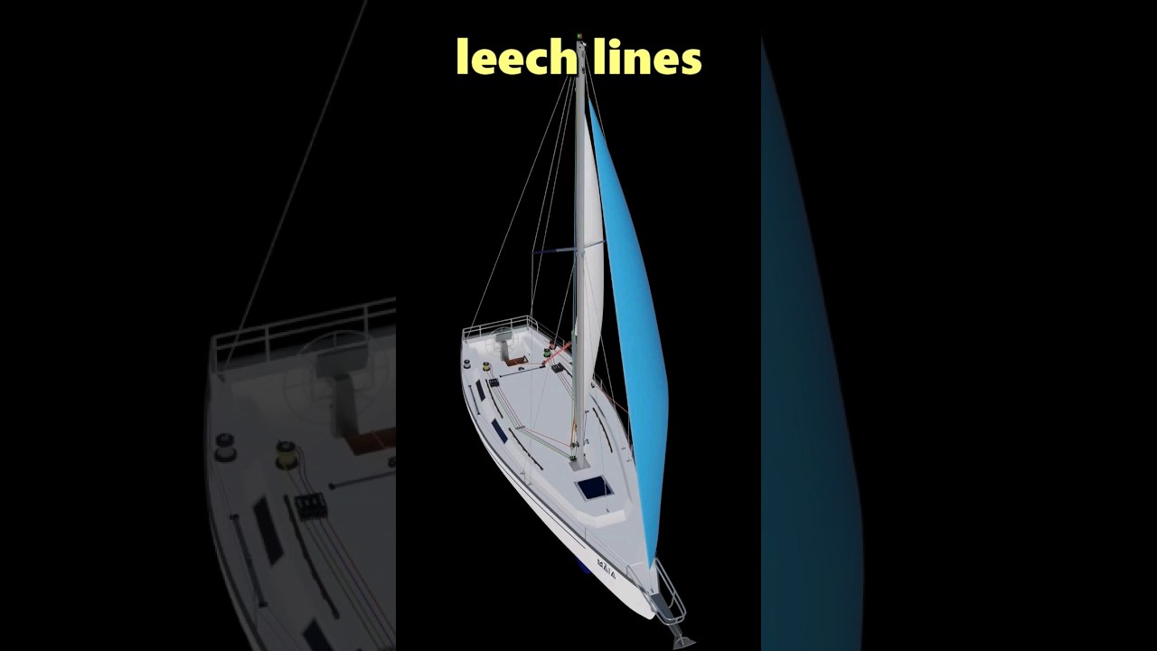 LEECH LINES #short #sailing