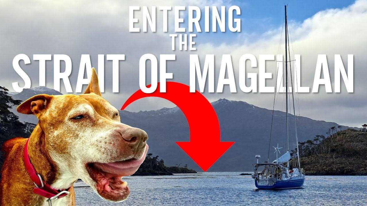 Roxy, câinele cu vele reacţionează la balenele din strâmtoarea Magellan [Ep. 124]
