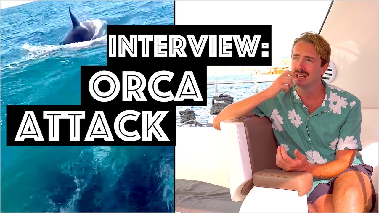 Orcas atacă barca - interviu cu căpitanul și echipajul / Ediție specială de Sailing Aquarius