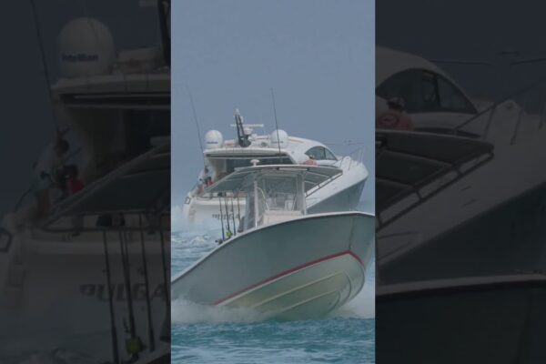 Vă place?  #shortrs #yacht #miami