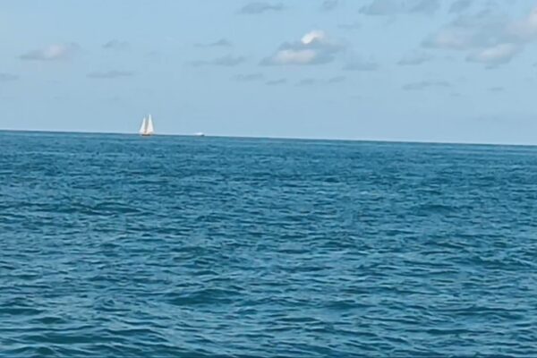 videoclip cu o vedere cu barca plimbând în ocean în zona cheilor din Florida Key West, o zi însorită cu adevărat fierbinte ☀️