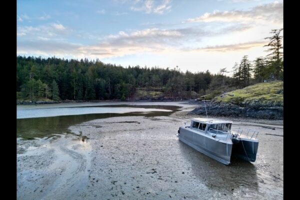 Mări agitate, oi sălbatice și plajă cu maree joasă - Insula Jedediah într-un catamaran cu deplasare 🌊🐑 ⚓️