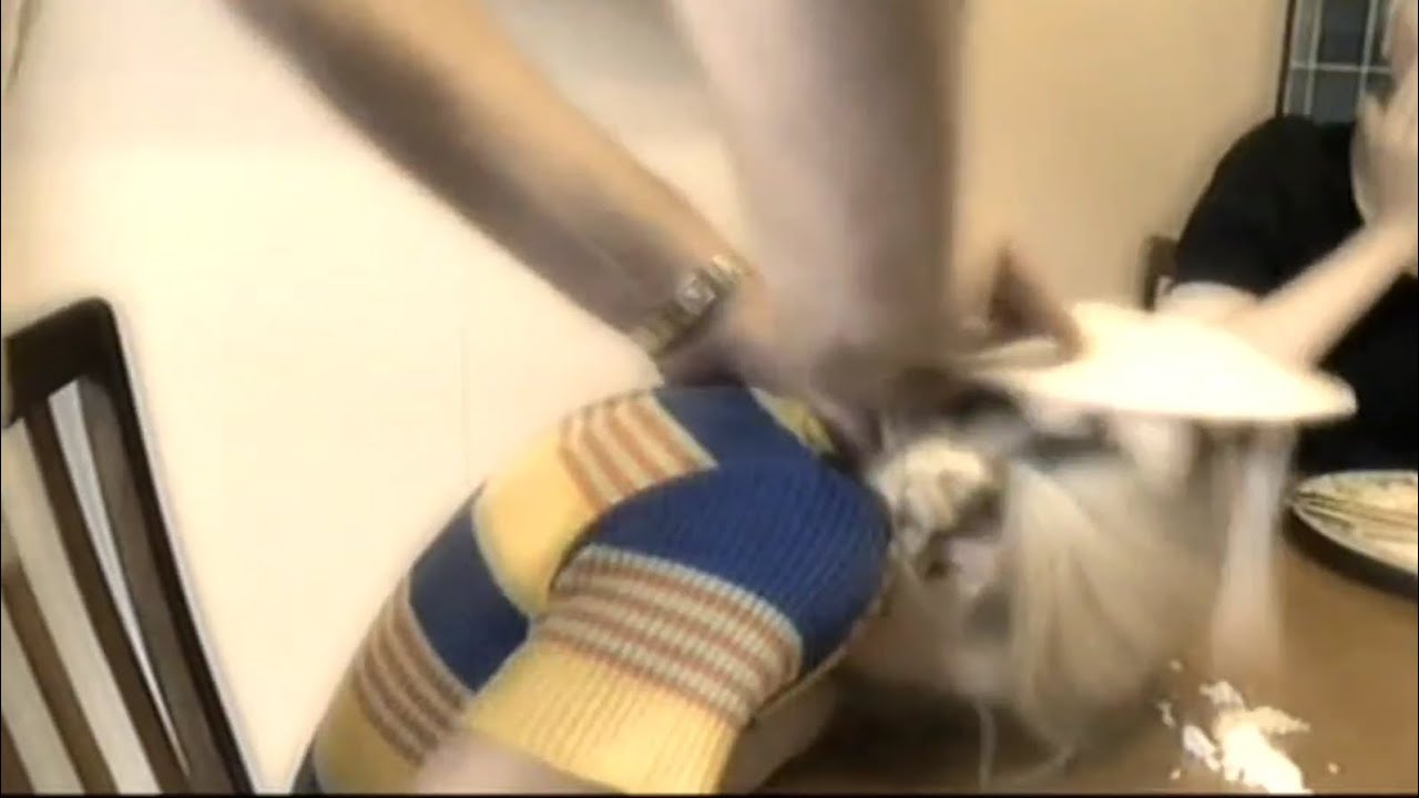 Killing the truth - Murder Documentary UK