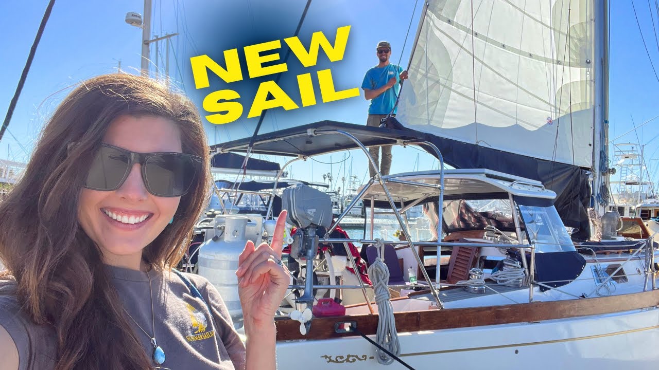 Pornind la SUD!  |  Sailing Avocet