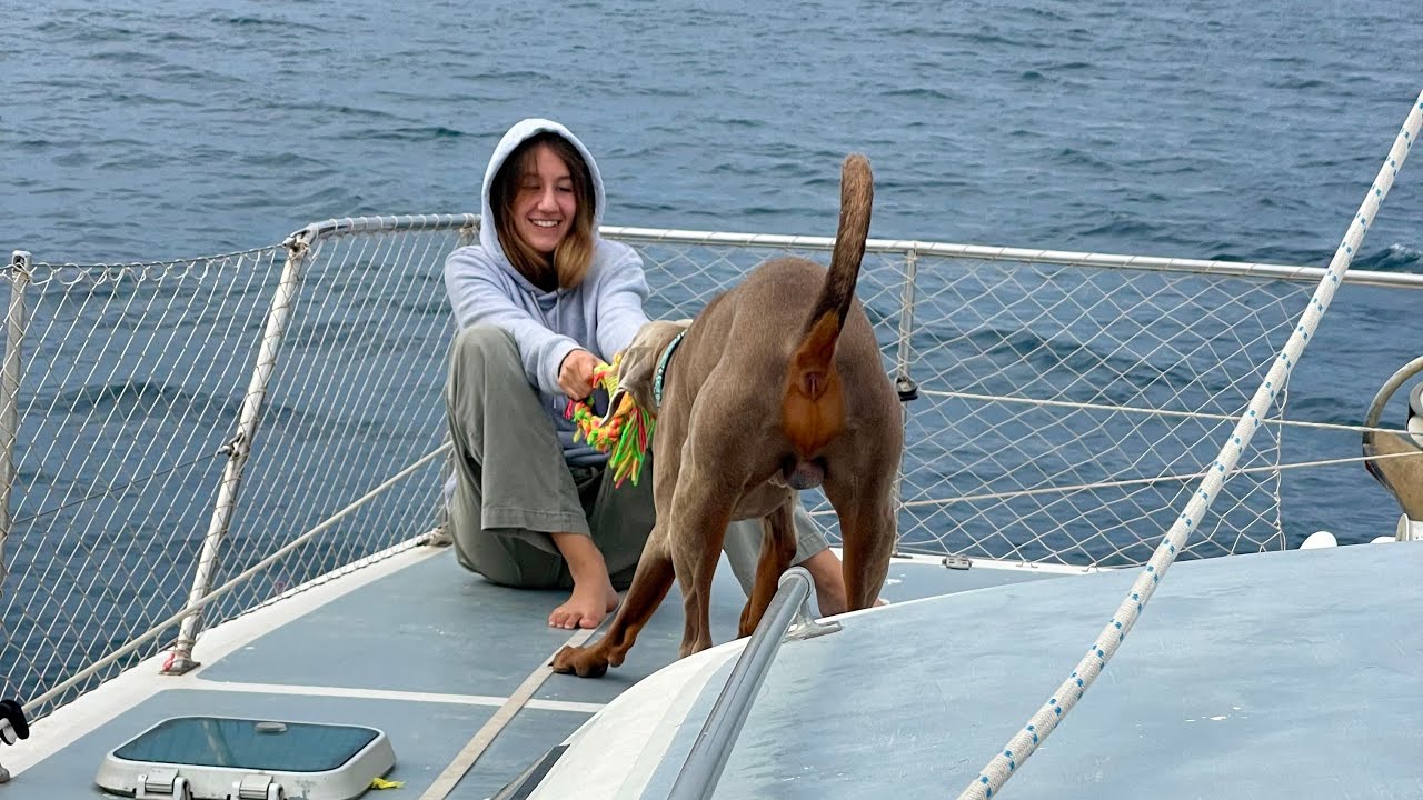 Episodul 168 - Prima navigare a sezonului după reconstruirea cutiei de viteze!