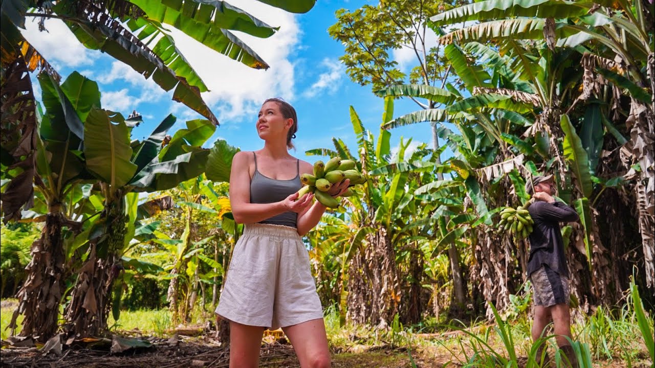 ÎNCEPUTUL LOCULUI NOASTRE OFF-GRID ÎN JUNGLA