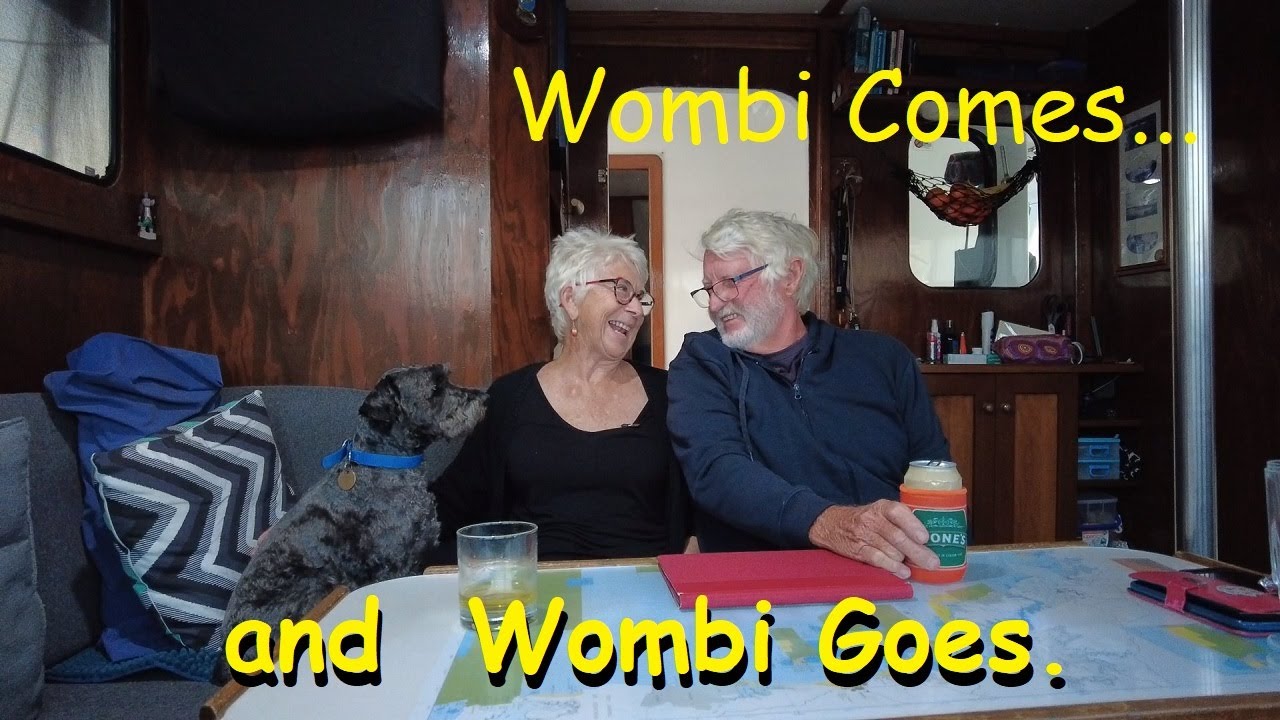 Episodul 32 Wombi vine și Wombi pleacă