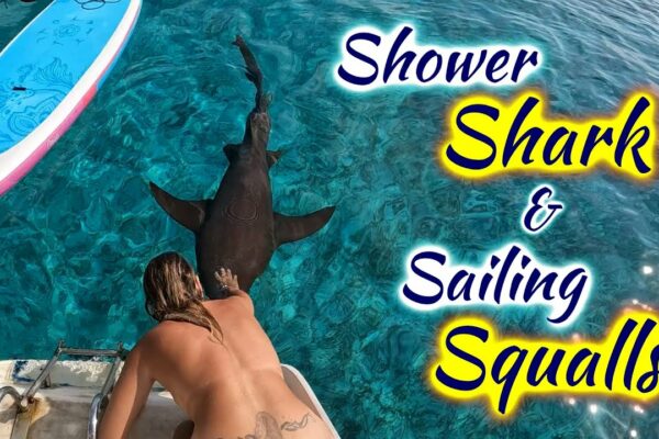 SDA110 Shower Shark & ​​Sailing Squalls