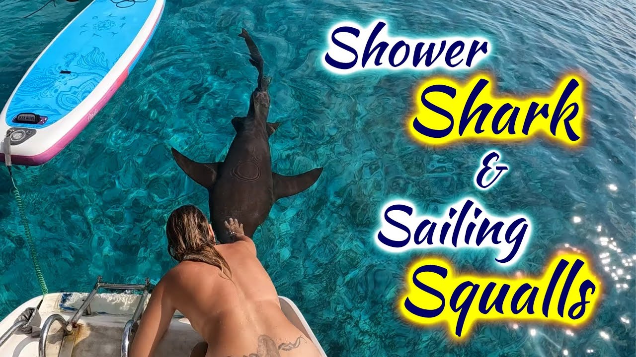 SDA110 Shower Shark & ​​Sailing Squalls