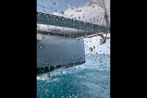 Windelo 54 Yachting - experimentați performanța catamaranelor noastre