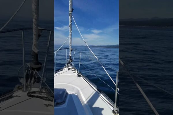 Scaun de la prova, cercetând marea #short