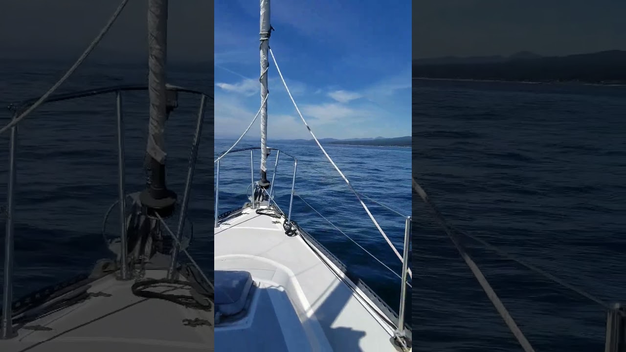 Scaun de la prova, cercetând marea #short