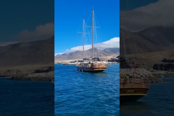 Bucurați-vă de vacanța în Fuerteventura navigând cu goeleta Aphrodite☀️⛵️ #fuerteventura #barcă