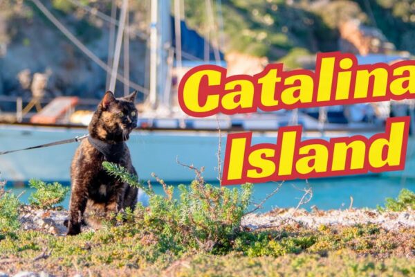 Insula Catalina si Wifi Woes |  Sailing Avocet