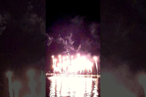 Focuri de artificii 🎆
