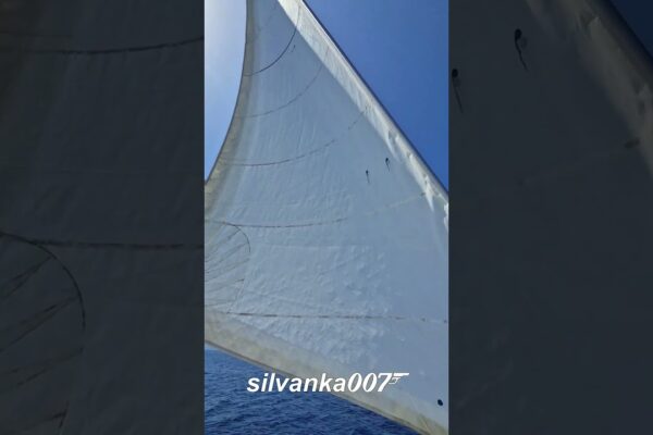 SAILING LIFE Sailing Boat Club Greek Yachting Travel |  Cum să navighezi cu un catamaran |  Pantaloni scurți virali TikTok