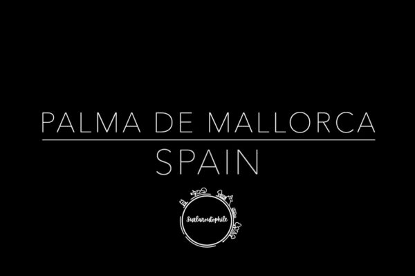 Europe, Spain - Palma de Mallorca