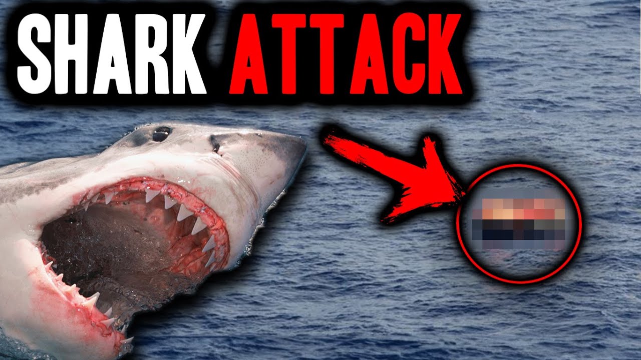A BRUTAL SHARK ATTACK - O poveste adevărată