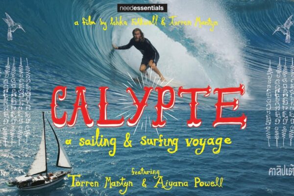 Torren Martyn - „Calypte - o călătorie cu navigație și surfing” - elemente esențiale