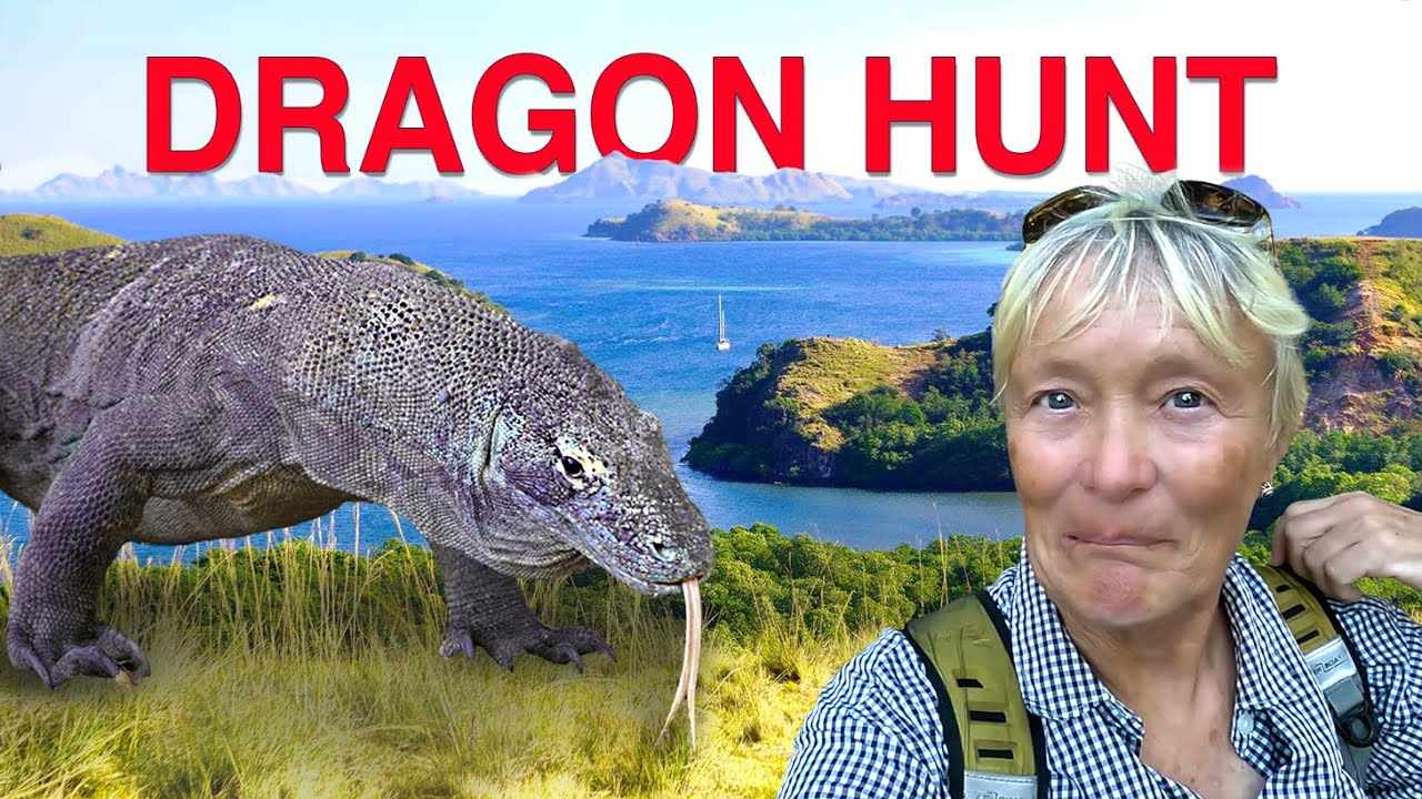 Dragonul mortal de Komodo: Cea mai mare șopârlă de pe Pământ |  Sailing & Travel Ep 360