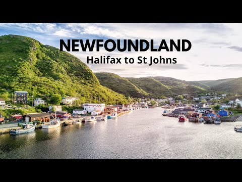 Aventura Newfoundland |  Saga47swan Sailing
