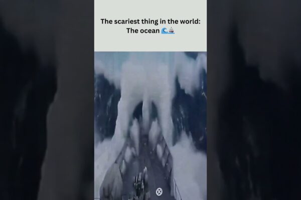 „cel mai înfricoșător lucru din lume: oceanul 🌊🚢” #short #viral #ship #roughseas