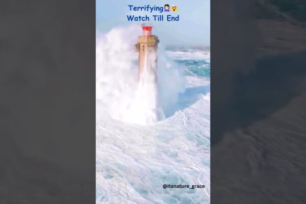 „Terrifying”🤷🏻‍♀️🤯 Nividic Lighthouse, Ushant, Franța #shorts #reels #ytshorts