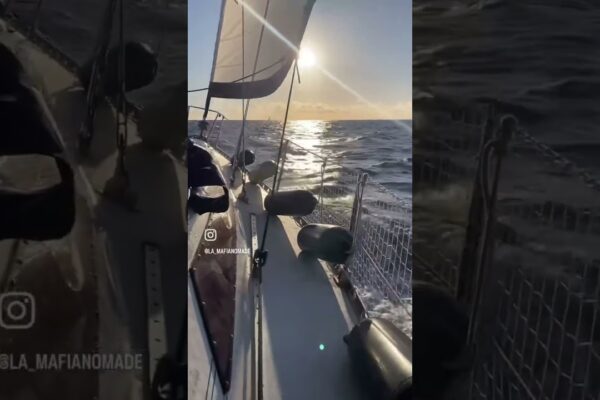 Scoatem pânzele Sunshine "Express" 38 #barcă cu pânze #sailing #sail #voilier