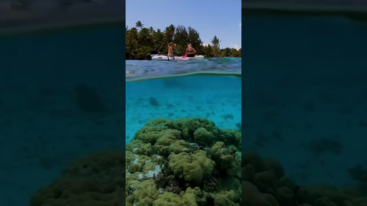 Ai văzut vreodată apă atât de limpede?  #ocean #snorkeling #polinezia franceză #navigație #paradis #călătorii