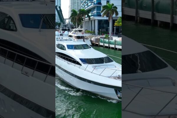 Acesta este Miami Yachting!  #miamiriver