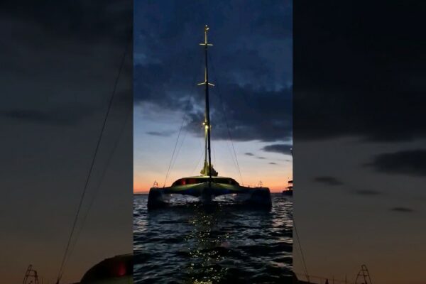 Ne-am întors pe apă ⛵️ #short #trimaran #sailing #yacht