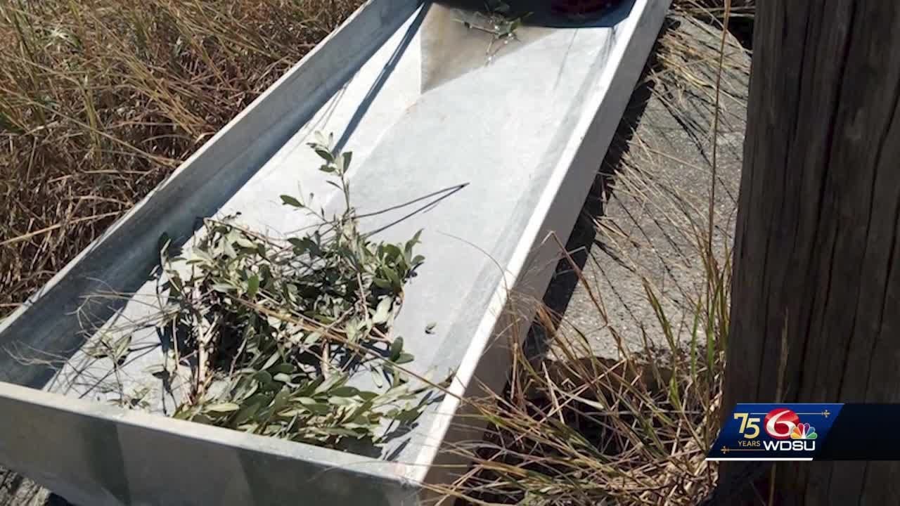 Creveții din Louisiana supraviețuiesc fiind blocați mergând acasă pe o plută improvizată