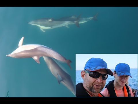 Navigați pe Sir Peter Blakes Legacy, Steinlager NZ