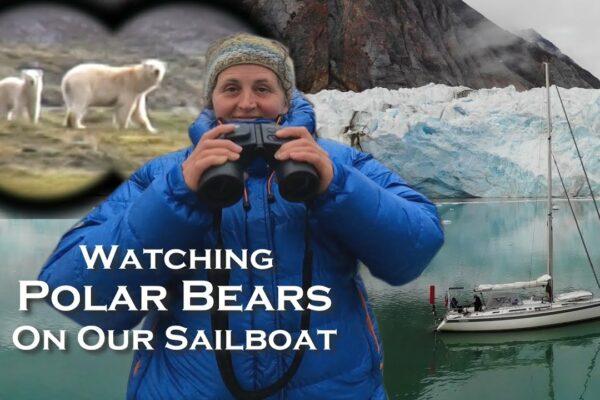 Navigare la 80 de grade nord - Întâlnirea cu urșii polari: Ep 7