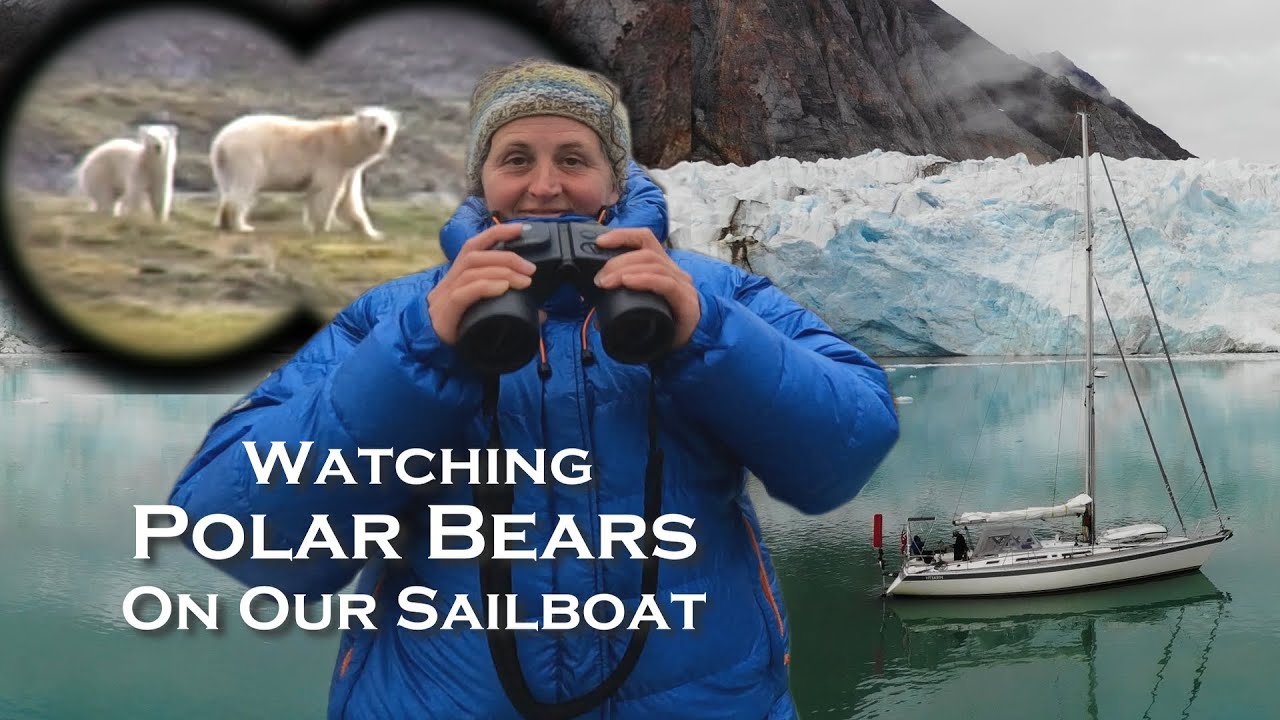 Navigare la 80 de grade nord - Întâlnirea cu urșii polari: Ep 7