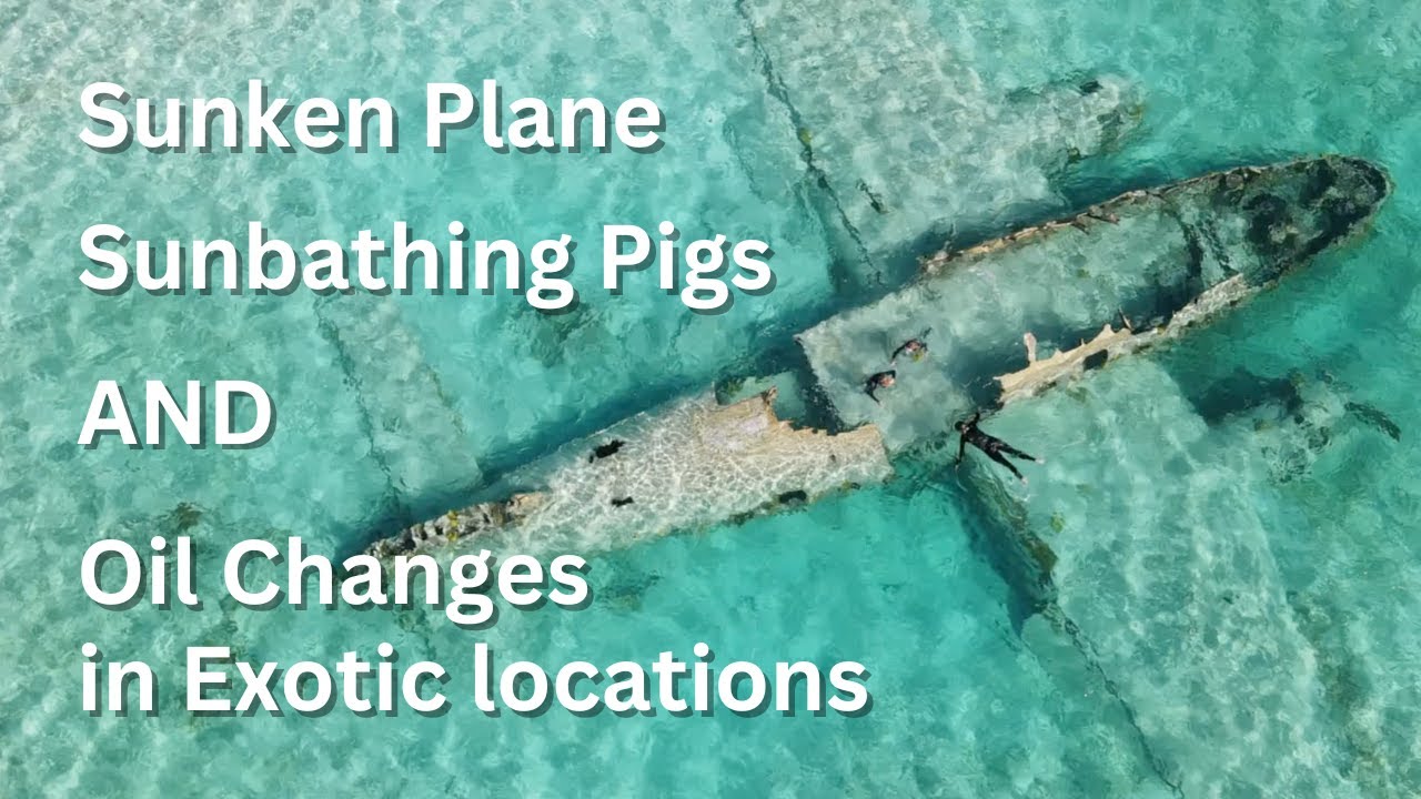 Porci, avioane și schimbări de ulei: explorarea locațiilor exotice |  Navigand cu Sase |  S2 E45