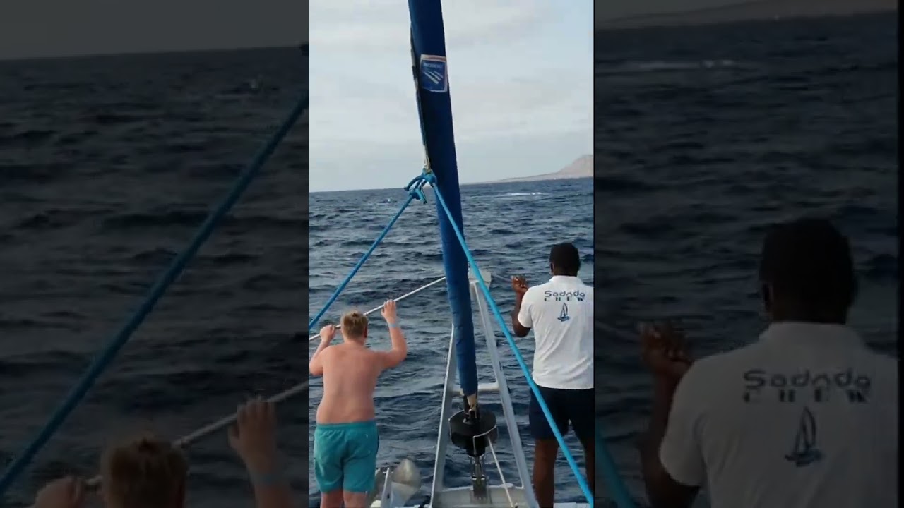 Întâlnire cu balene în timpul navigării pe Sal Cabo Verde