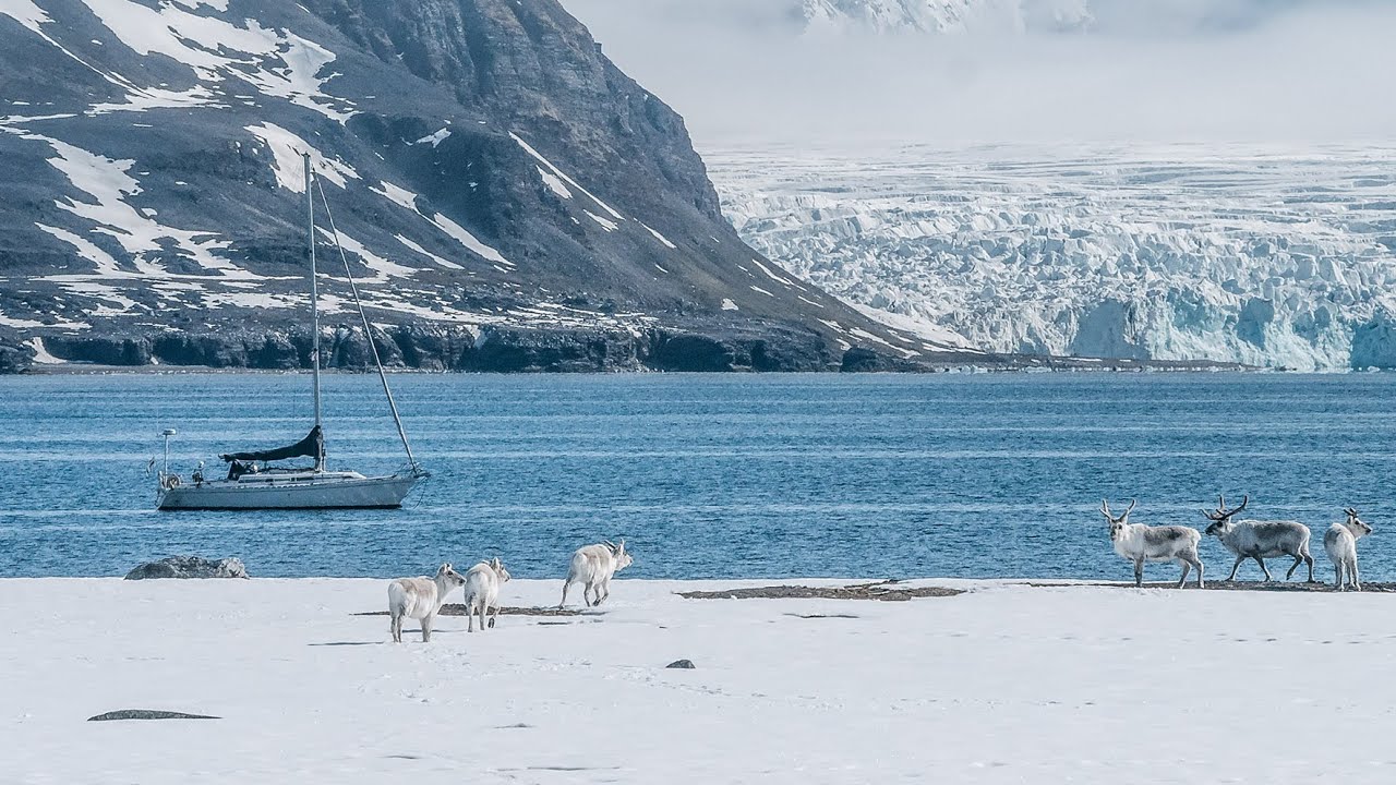 Navigați prin Norvegia arctică - Avem RENI, foci și un outboard rupt... [ep15]