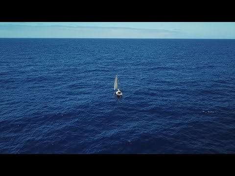 Navigand singur...  La 4 milioane de vizualizări!