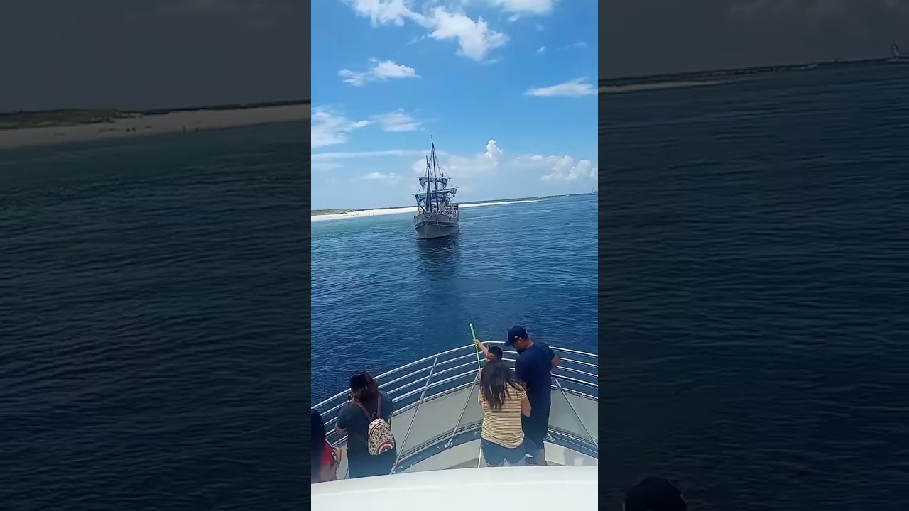 tururile cu delfinii întâlnesc pirați