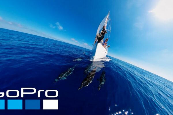 Premii GoPro: Navigare cu delfini