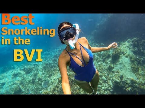 Cel mai bun snorkeling din BVI - S7:E34